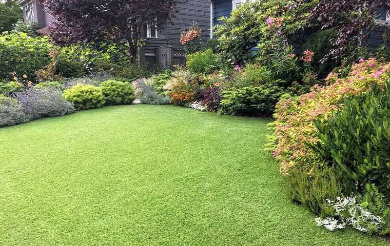 a beautiful residential lawn