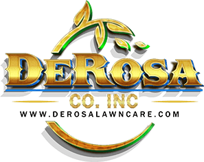 DeRosa Landscaping